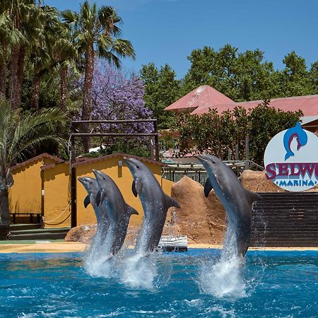 Apart With Swimming Pool Open All Year Benalmádena Dış mekan fotoğraf